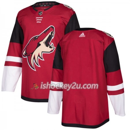 Mænd NHL Arizona Coyotes Trøje Blank Adidas 2017-2018 Maroon Authentic